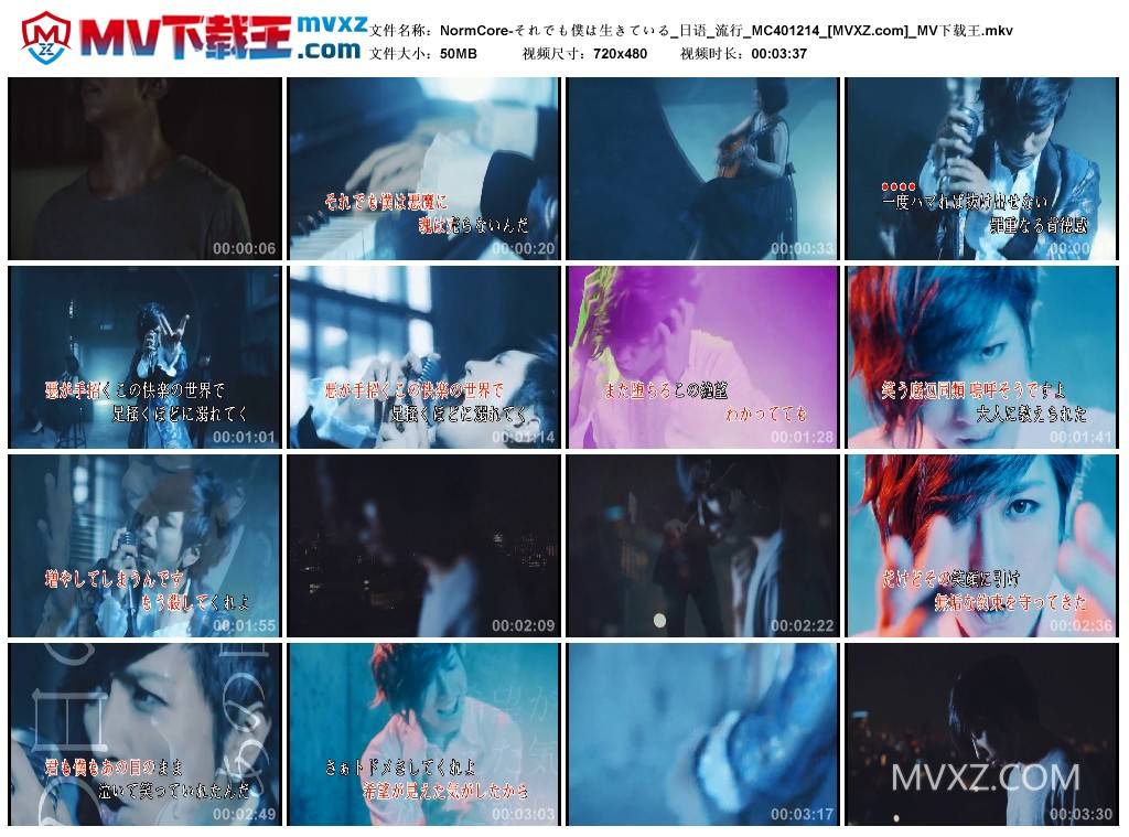 NormCore-それでも僕は生きている_日语_流行_MC401214